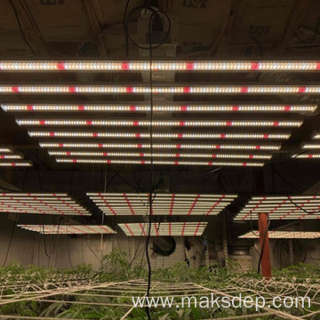 Industrial Professional Led Grow Lights